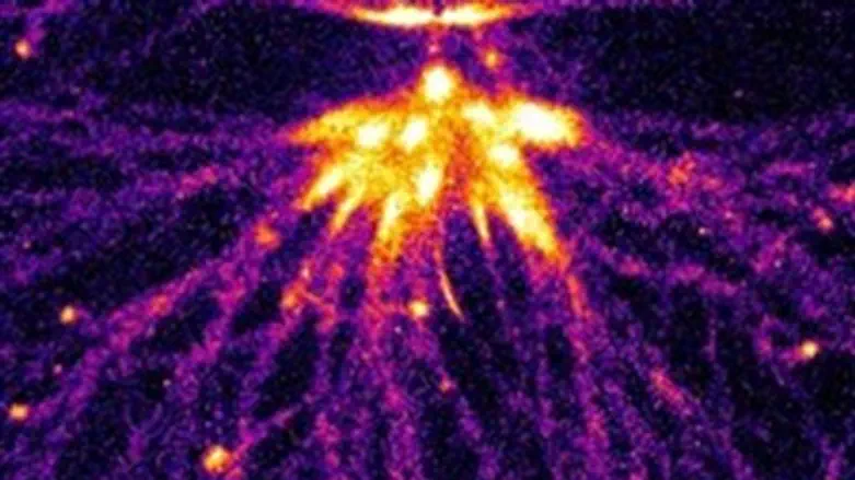 Sprite streamer created in Tel Aviv U.lab