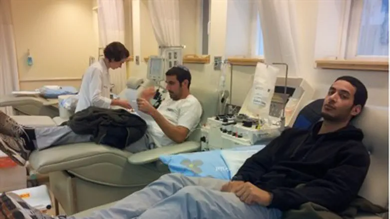 Сдача донорской крови в больнице Бейлисон