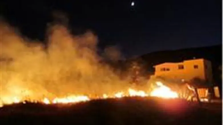 Fire (file)
