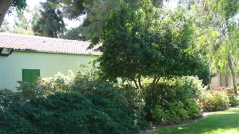 3 миллиона на реставрацию жилища Бен-Гуриона