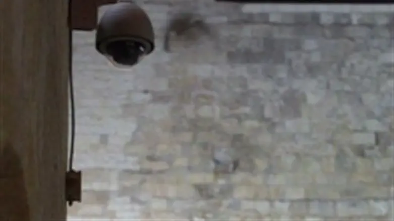 התרגלנו אליהן. מצלמות רחוב