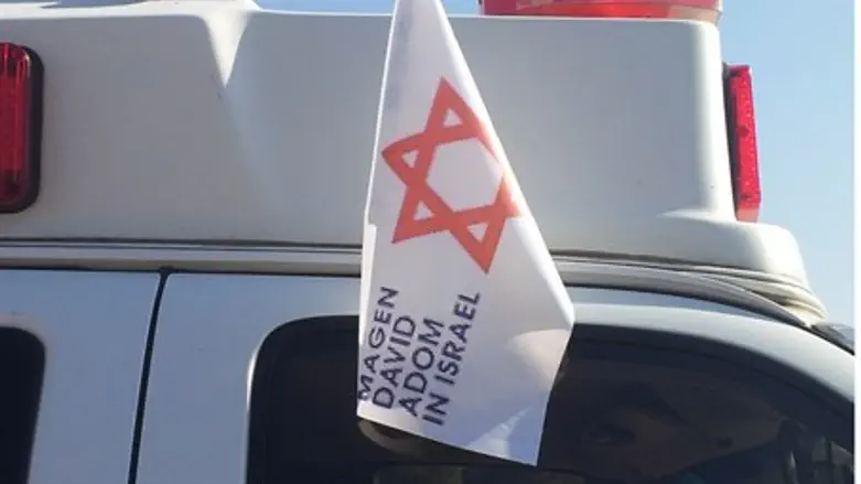 Magen David Adom flag