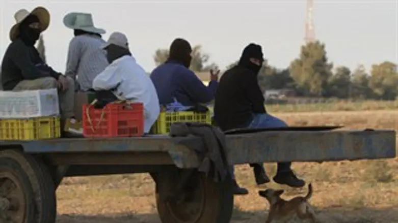 למצולמים אין קשר (ידוע) לאמור בכתבה