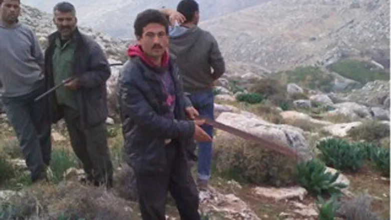 חלק מהפורעים