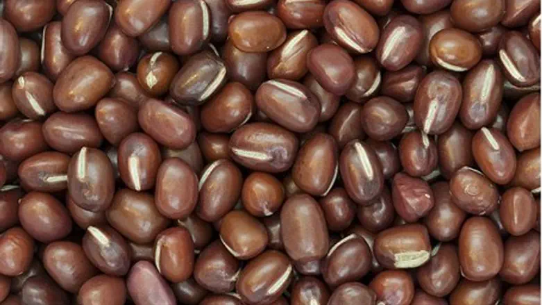 Adzuki Beans