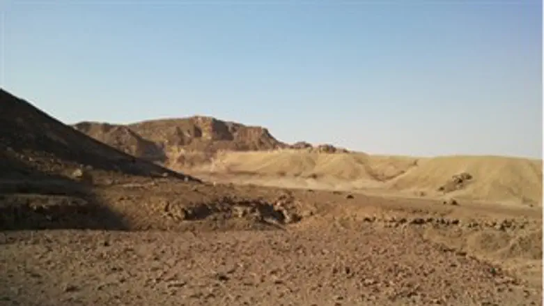 פגיעה אנושה. עמק ססגון