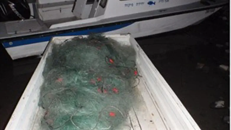 התפיסה הלילה