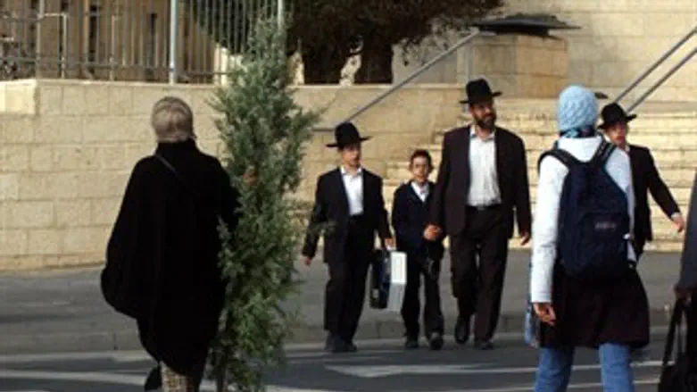 חלוקת עצי אשוח