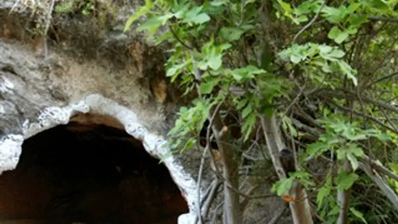 לחפש את המקומות האמיתיים