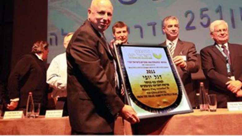 דגל היופי לרוני מנור