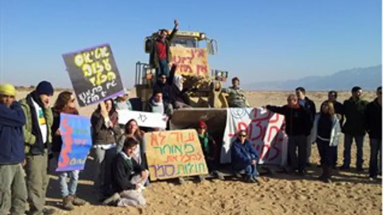 מונעים הכריה בסמר