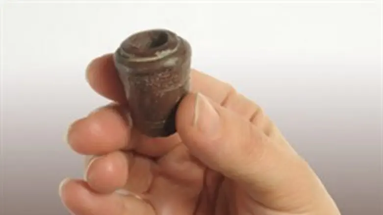 פיית המקטרת שהתגלתה