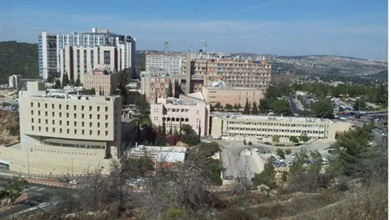 «Адаса Эйн-Керем», Иерусалим