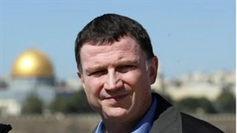 לכו להצביע. אדלשטיין