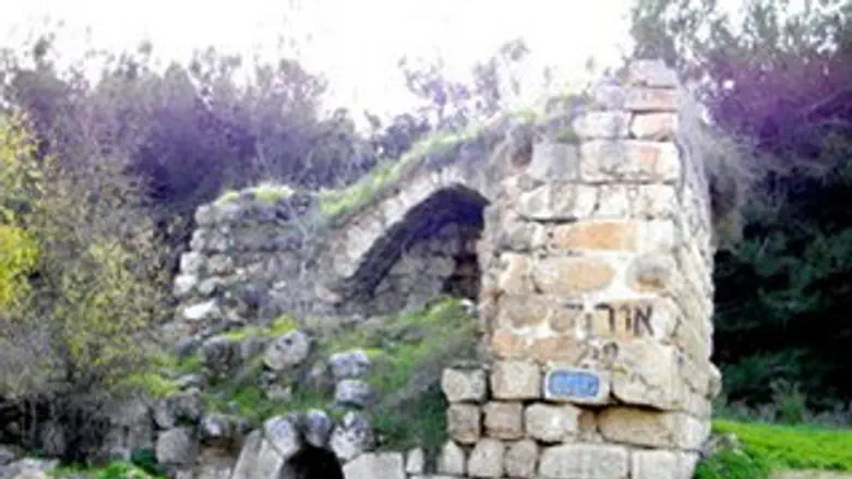 האתר בבית שמש