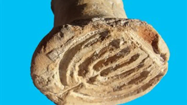 החותם שנחשף