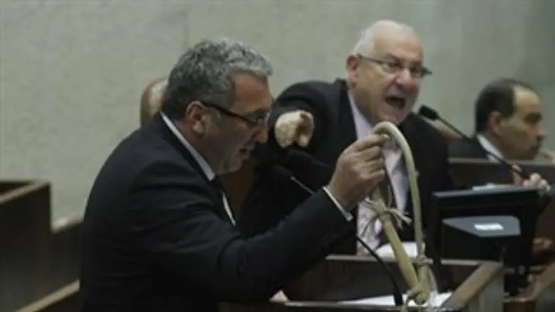 ח"כ טיבייב עם השוט.