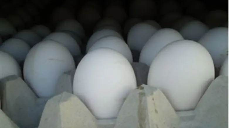 עכשיו אפשר לוודא