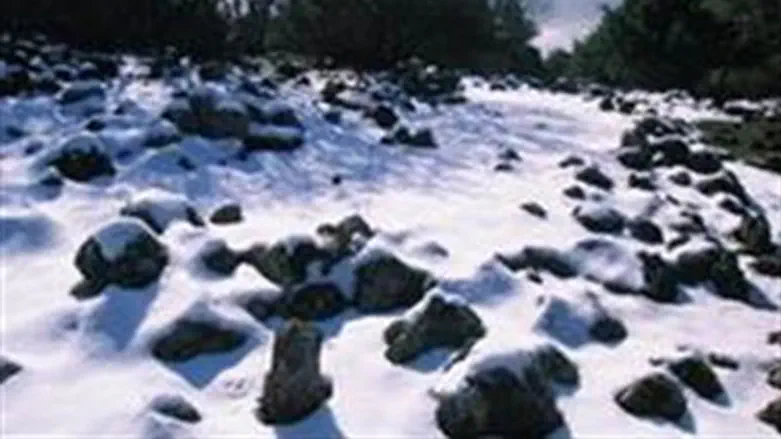 Snow in Golan