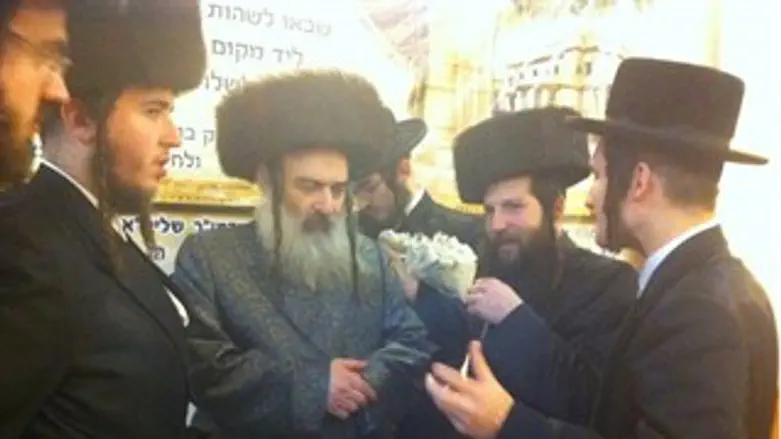 האדמו"ר מקארלי