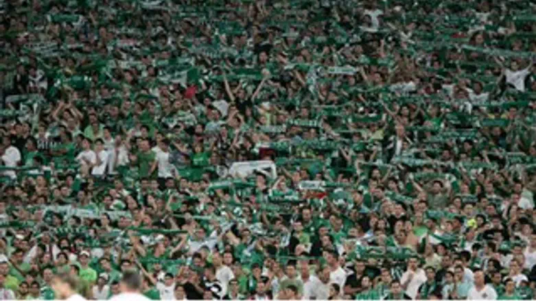 את מי הם אוהדים? היציע של מכבי חיפה