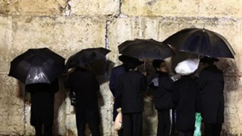 גשם מטריות כותל