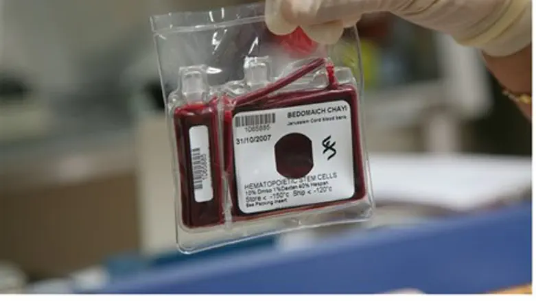 Unit of umbilical cord blood from Bedomaich C