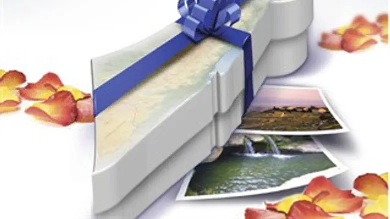 מתוך כריכת הספר