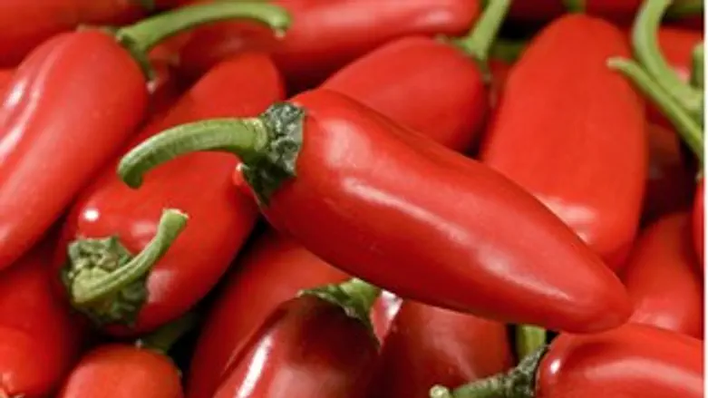 בלי גרעינים