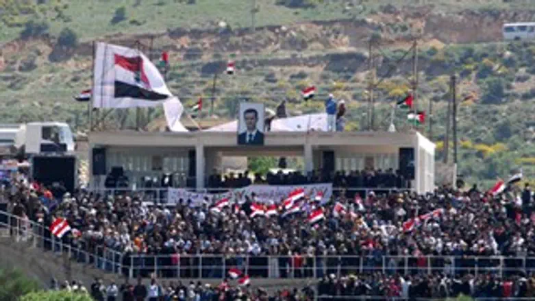 מהומה אצל השכנים. "גבעת הצעקות"