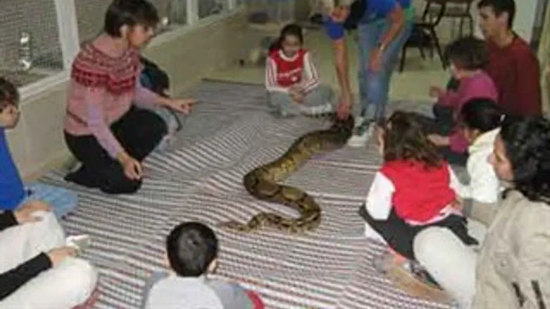 מוזיאון הטבע