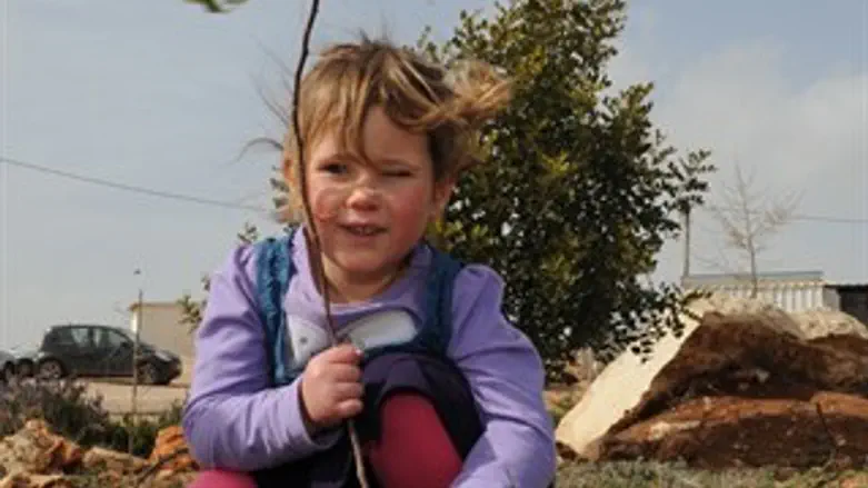 חוזרים לשורשים