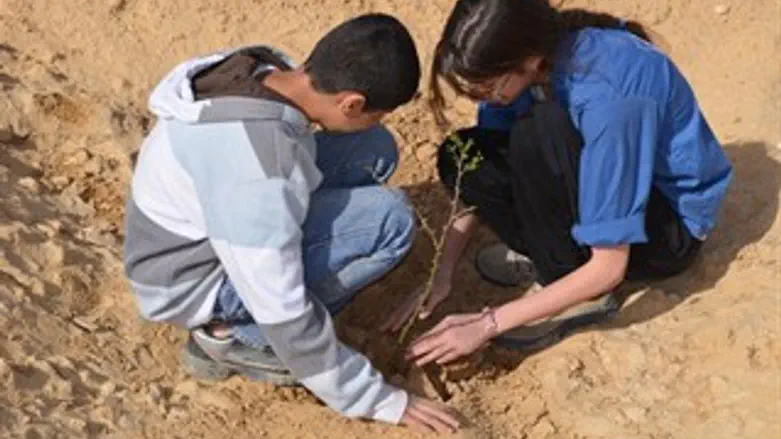 נוטעים ומייהדים