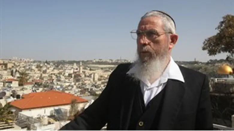 הרב ישראל אריאל