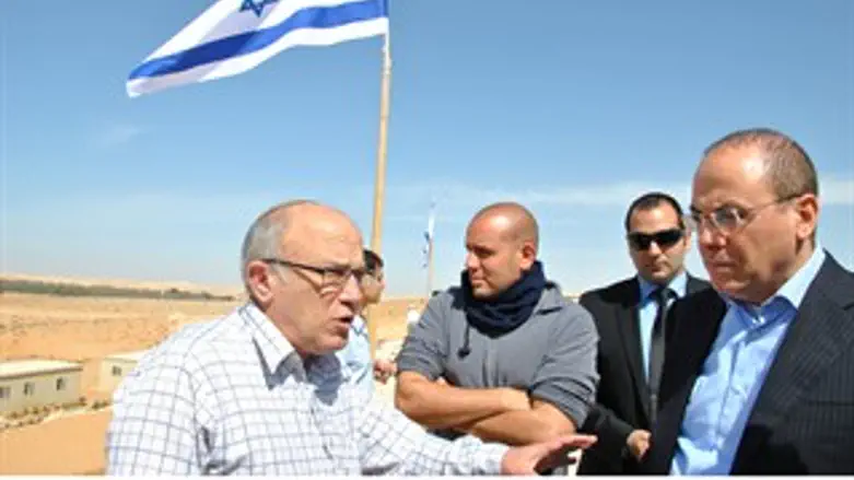 חנוכה בנגב. שיזף