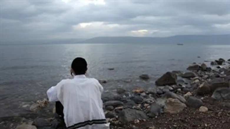 המפלס עולה. הכנרת