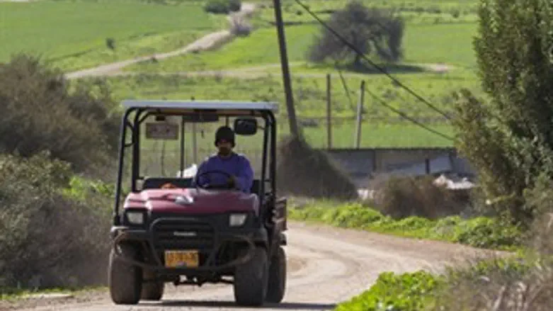שוד משותף. אילוסטרציה