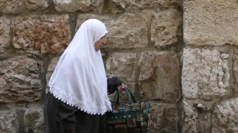 אילוסטרציה