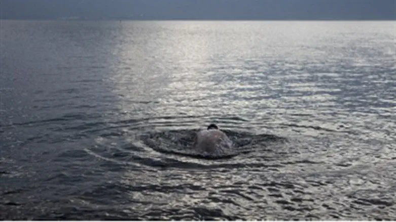 Man immerses himself in the Kinneret