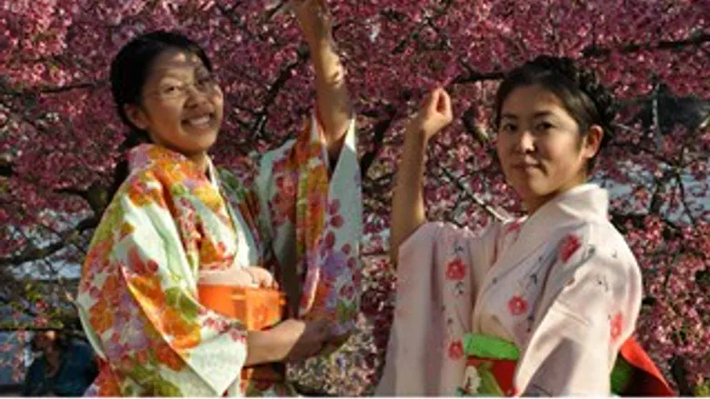 פריחת הדובדבן