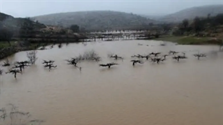 הזרימה נמשכת