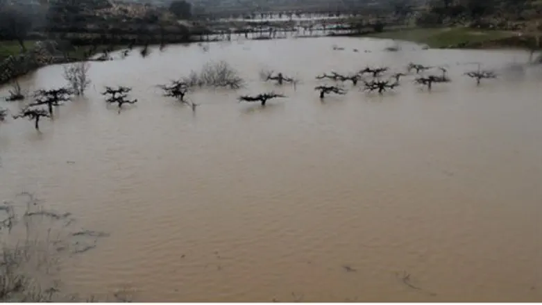 Водный поток. Иллюстрация