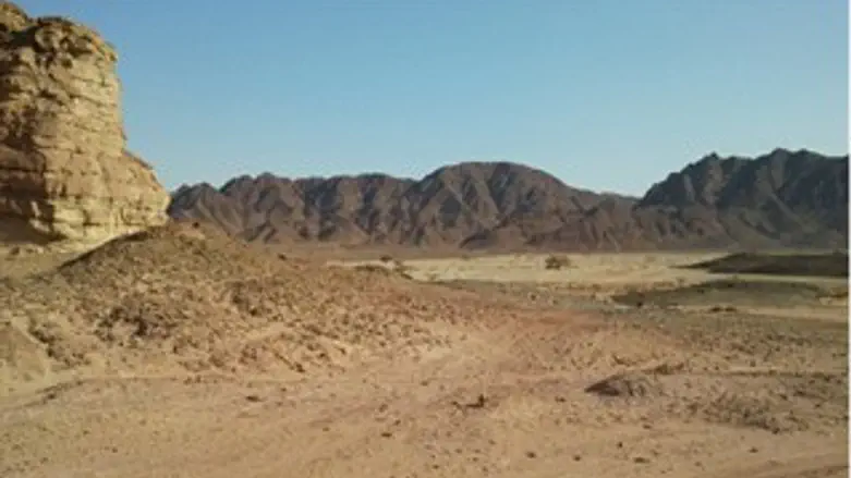 ינזק לדורות? עמק ססגון