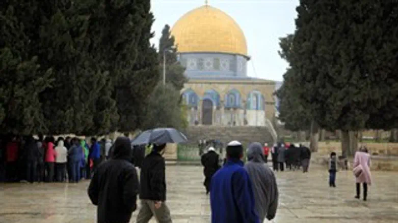 יהודים בהר הבית