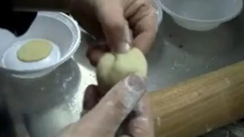 הקרפלך המסותי.