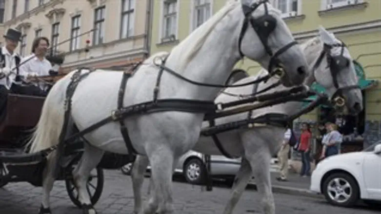 אילוסטרציה