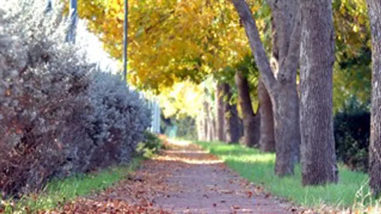 דואגים לנוף