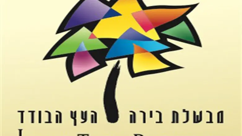 Lone Tree Brewery beer