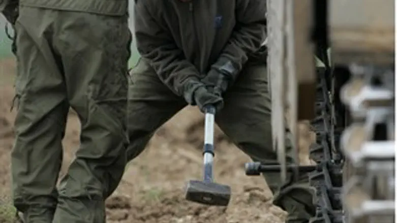 מחזירים סנדלים לזחלים. ארכיון