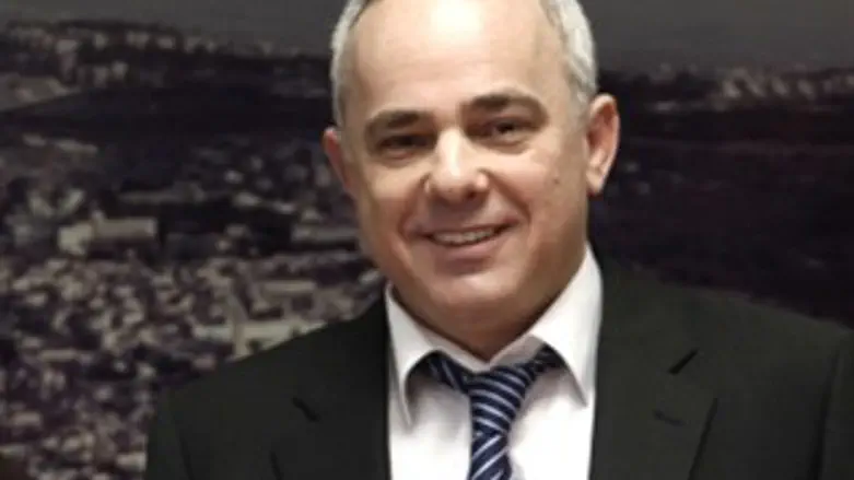 תמשיך לשגשג. שטייניץ